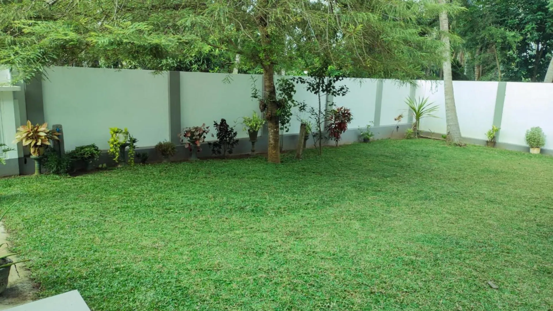 Accommodatie bij particulieren Parrot Paradise Negombo Sri Lanka