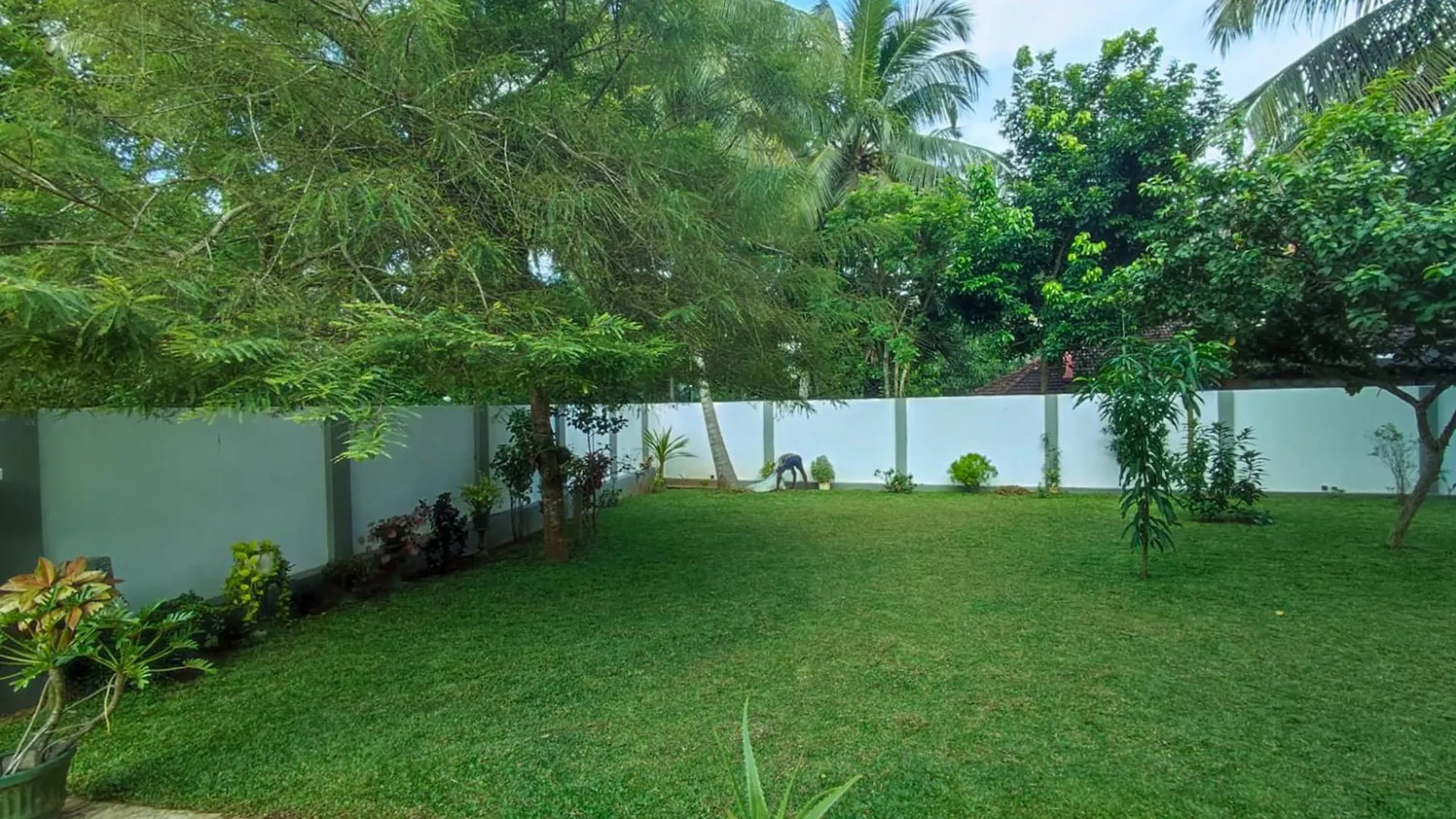 Rum i privatbostad Parrot Paradise Negombo